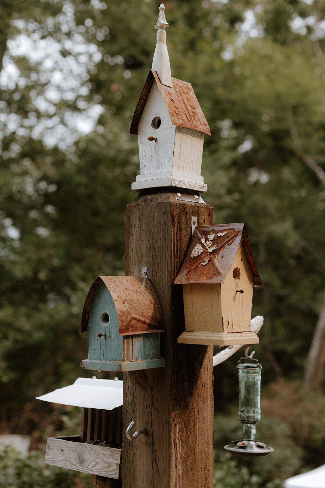Birdhouses at Rustic Anvil Island Wedding Vancouver Magazine