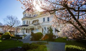 Perfect light at Pendray Inn and Tea House by Huntingdon Manor in Victoria British Columbia by West Coast Weddings Magazine