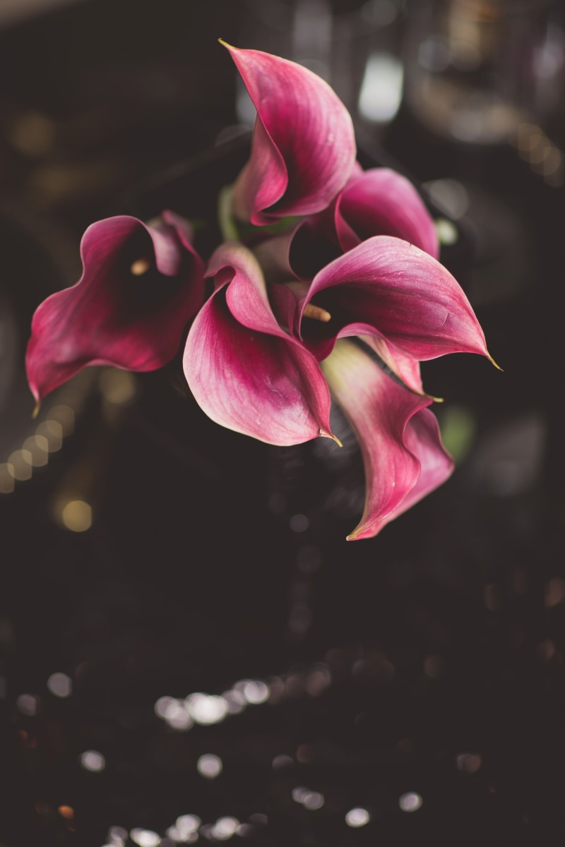 Deep Pink Calla Lily on Wedding Table in Vancouver