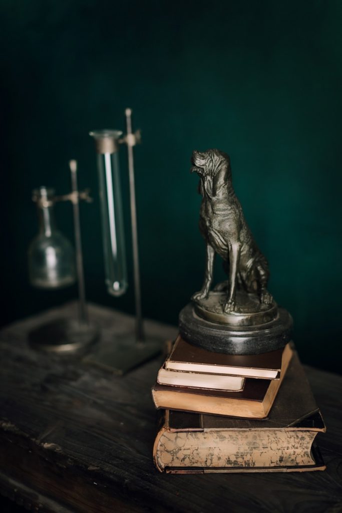 West Coast Weddings Magazine old books, litle dog statue and old chemistry tools decor by Blushing Vintage Rentals