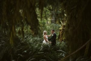 Wedding in the Woods couple among huge trees and ferns on Vancouver Island by Erin Wallis PHotography