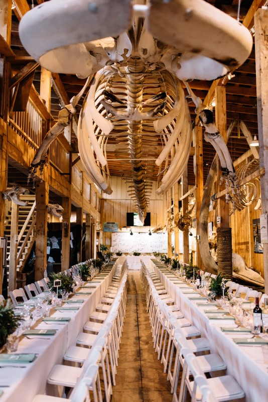 Whale Bones Hang Above Wedding Reception Long Table at Telegraph Cove by Masika May Photography