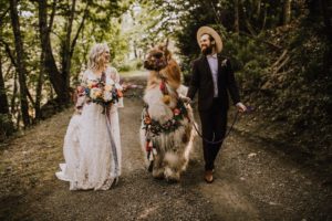 Bride and Groom With Llama on Vancouver Island
