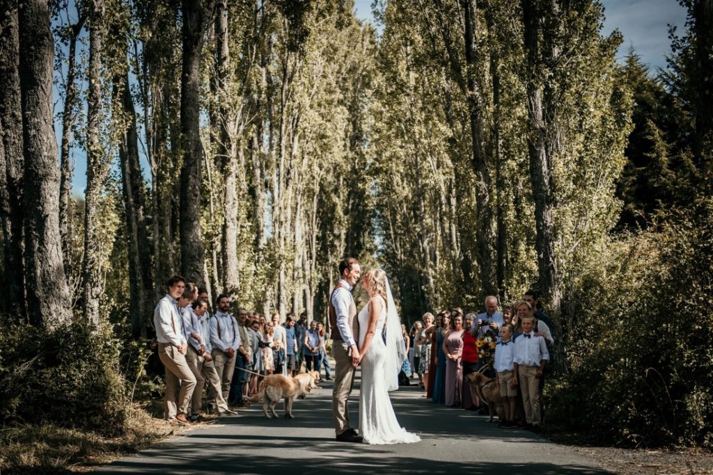 Bride and Groom stand on poplar tree road with guests behind them