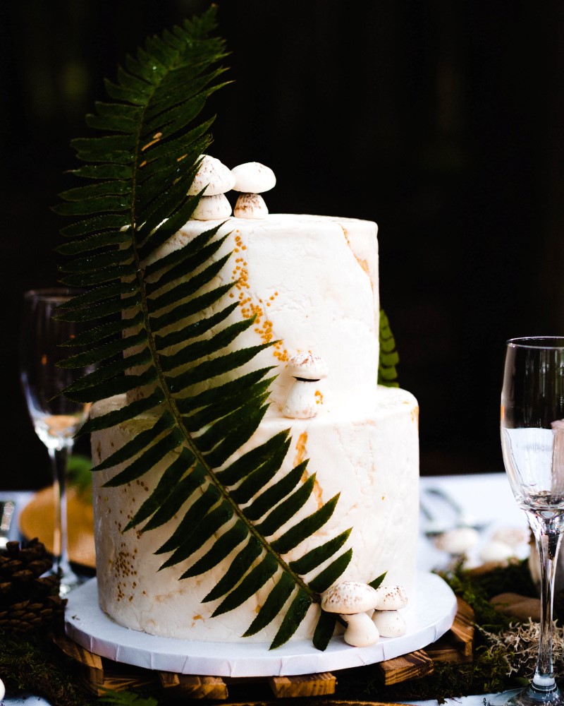 White wedding cake with mushrooms and ferns in Vancouver Island Forest by Cobble Hill Cake Co