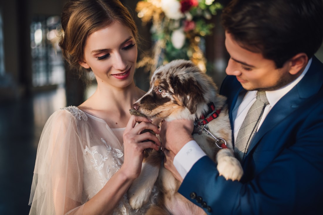Laura Olson Photography Puppy Golden Hour Wedding at The Vancouver Shipyards