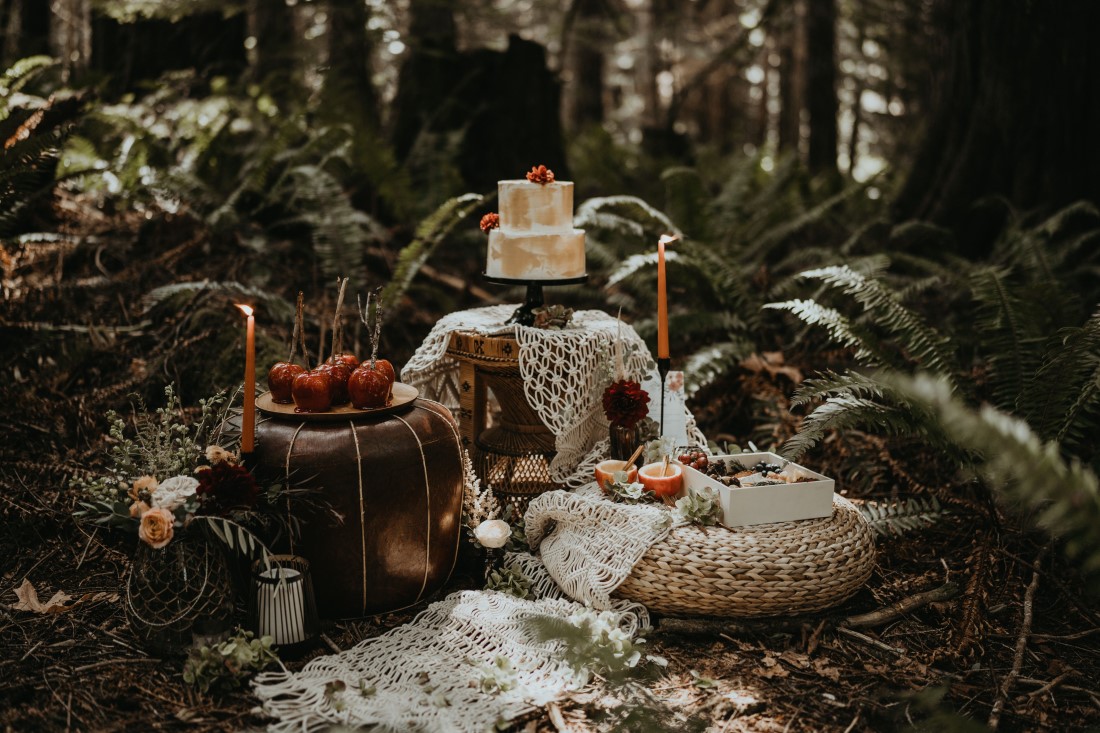 Whimsical & Woodsy picnic in the forest with ferns