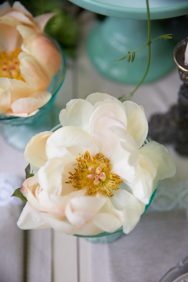 White Peonies at Vancouver Wedding Outdoor Reception