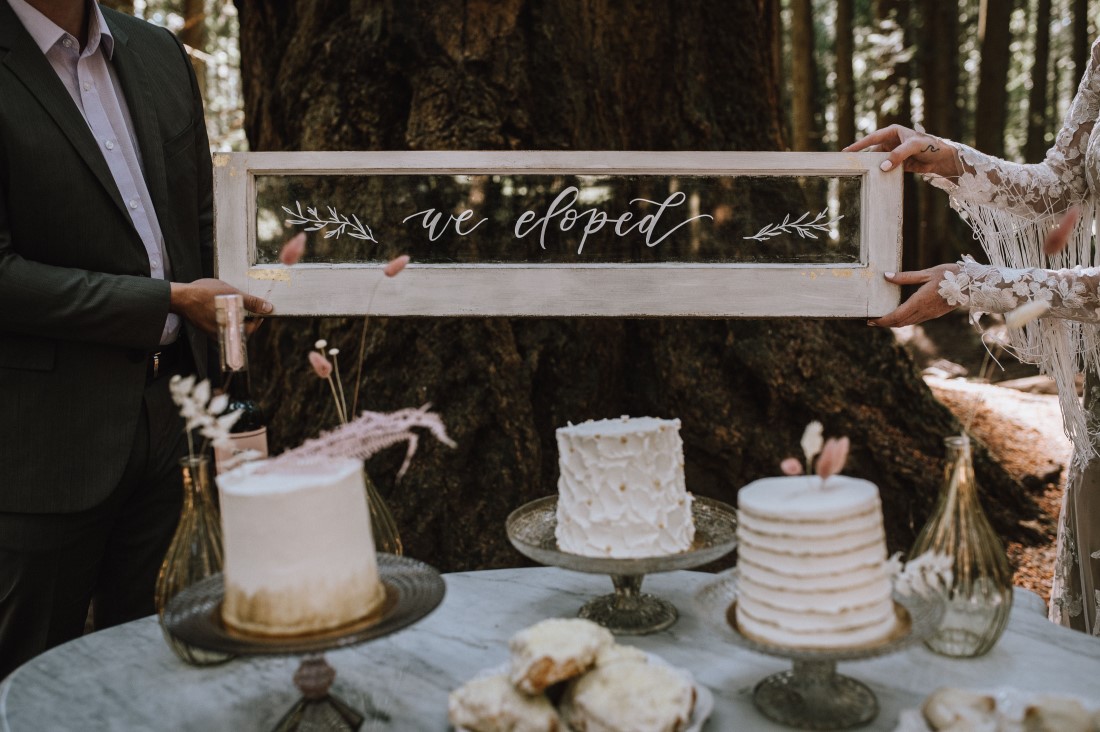 Beauty Bride decor in the forest of Vancouver Island