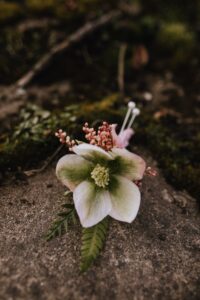 Perfect boutonniere by Foxglove Flowers