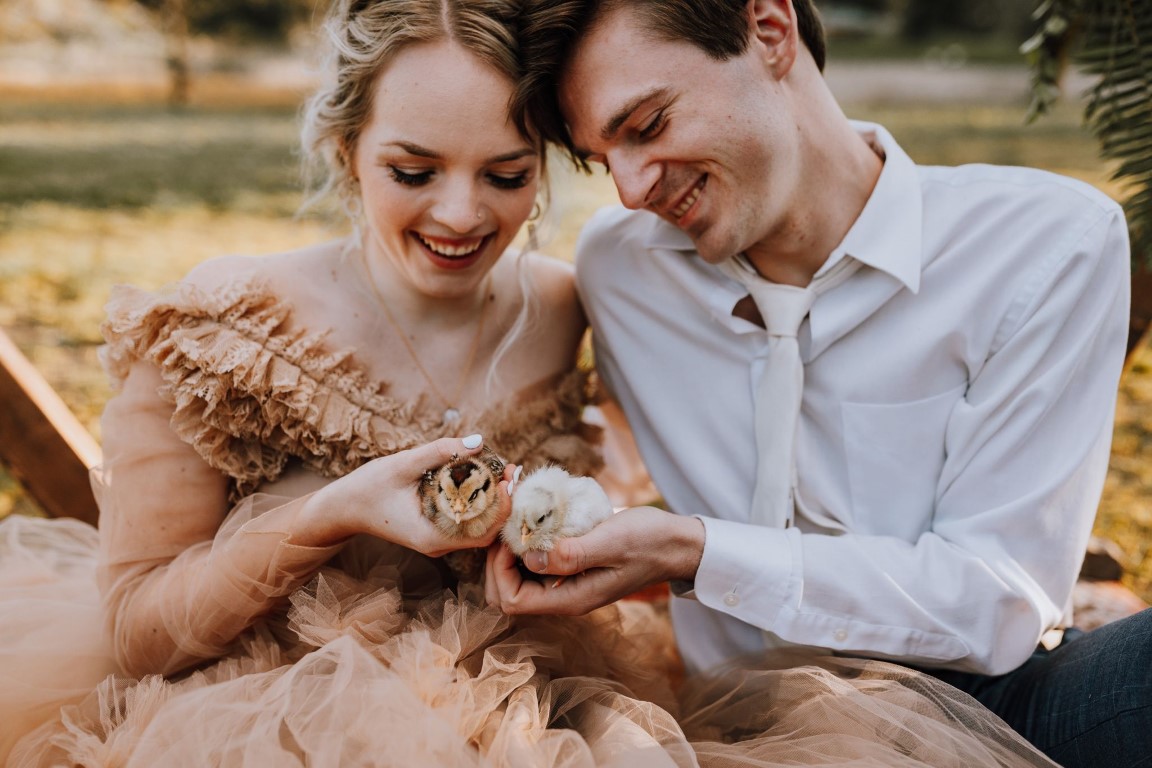 bride and groom hold chicks on Vancouver Island