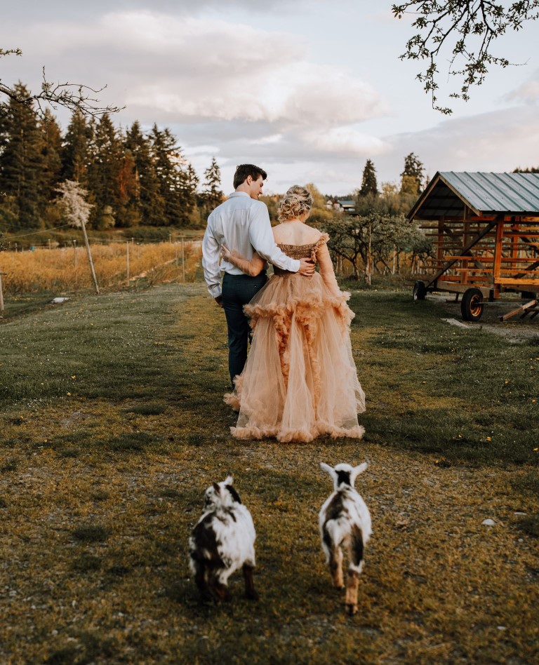 Newlyweds walk on farm path with two baby goats following