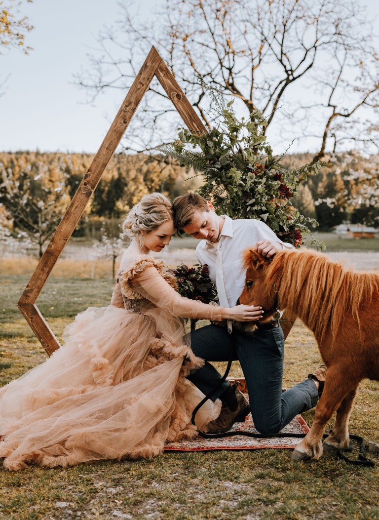 Newlyweds with miniature horse on Vancouver Island