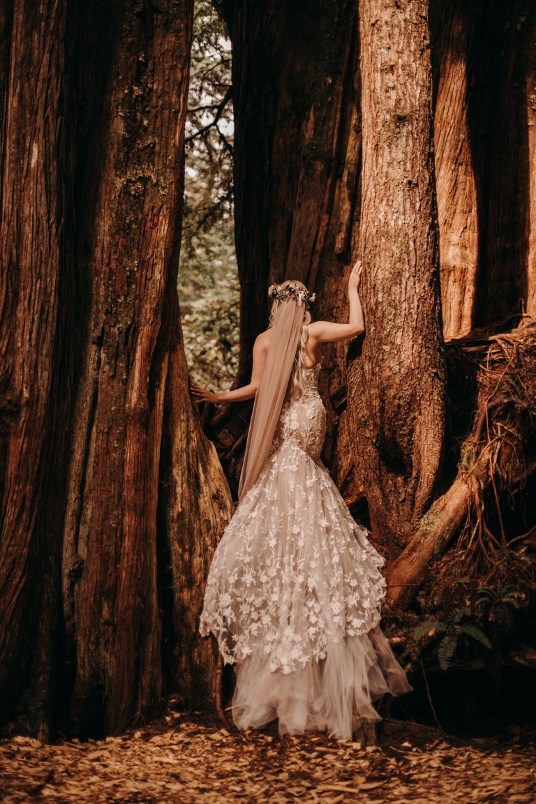 Radiant in the. Redwoods back of lace mermaid dress