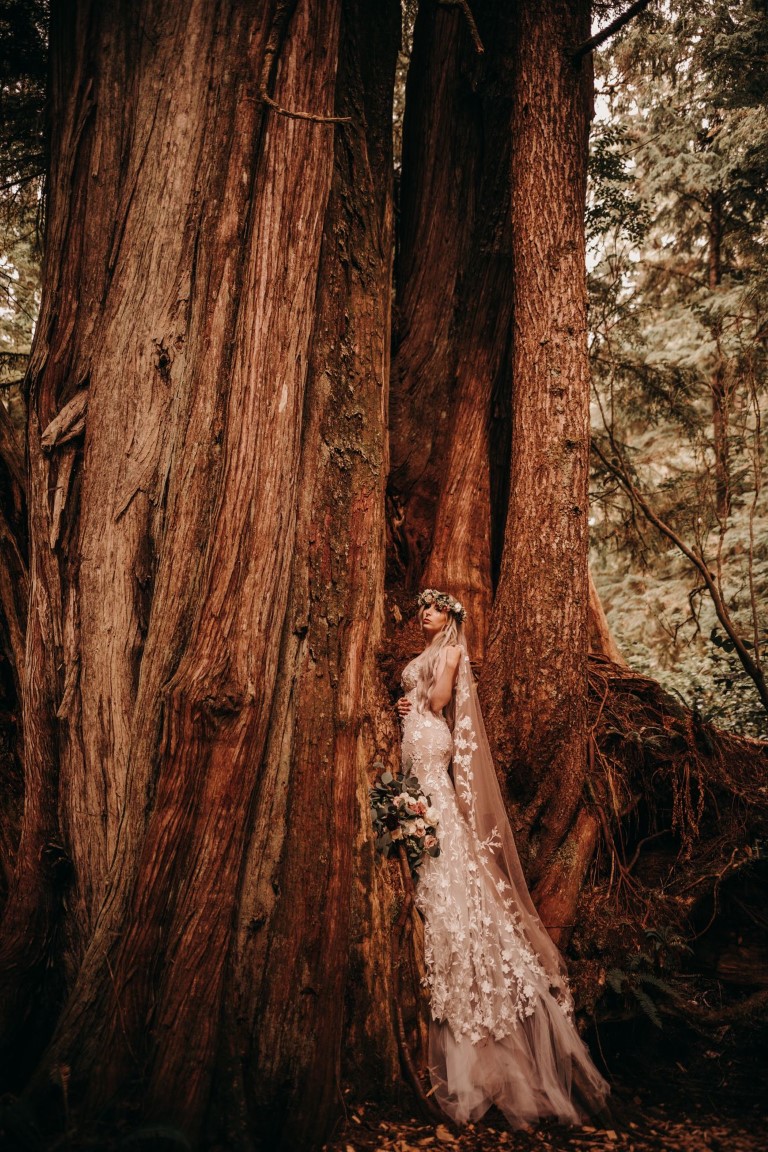 Radiant. in the Redwoods Bride in the trees