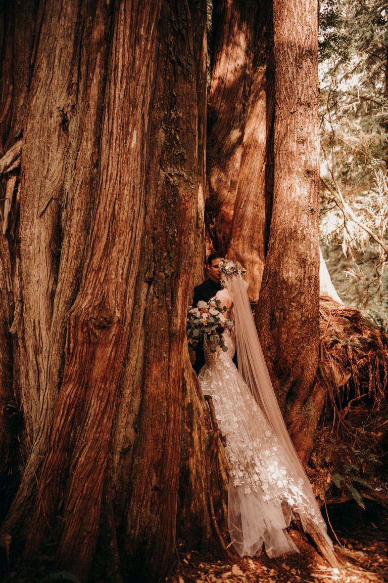 Radiant in the Redwoods Bride