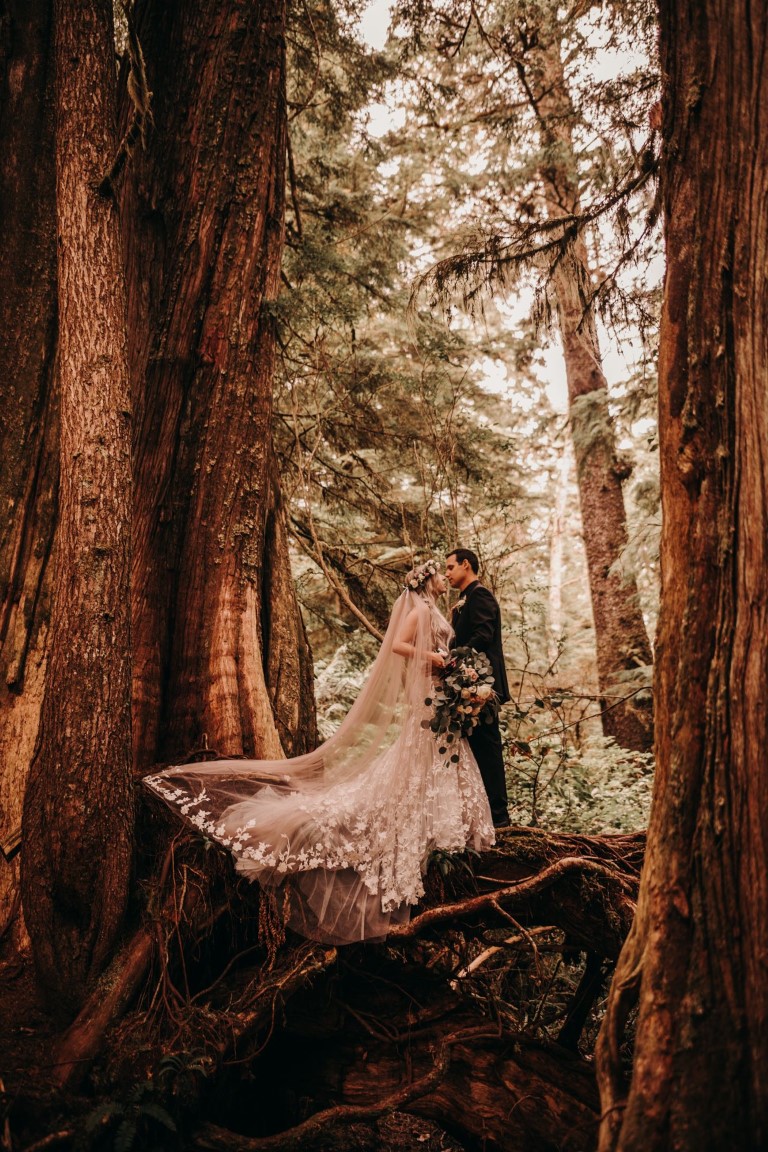 Radiant in the Redwoods Couple in the Trees