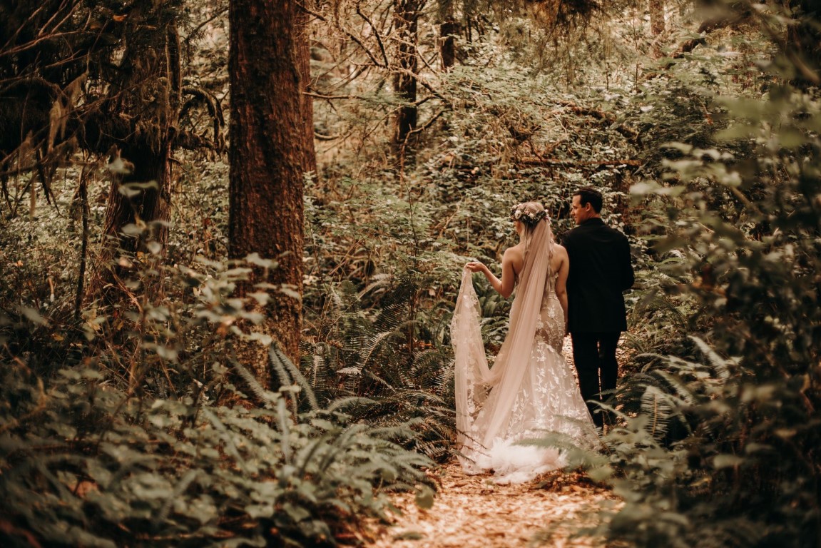 Radiant in the Redwoods Walk