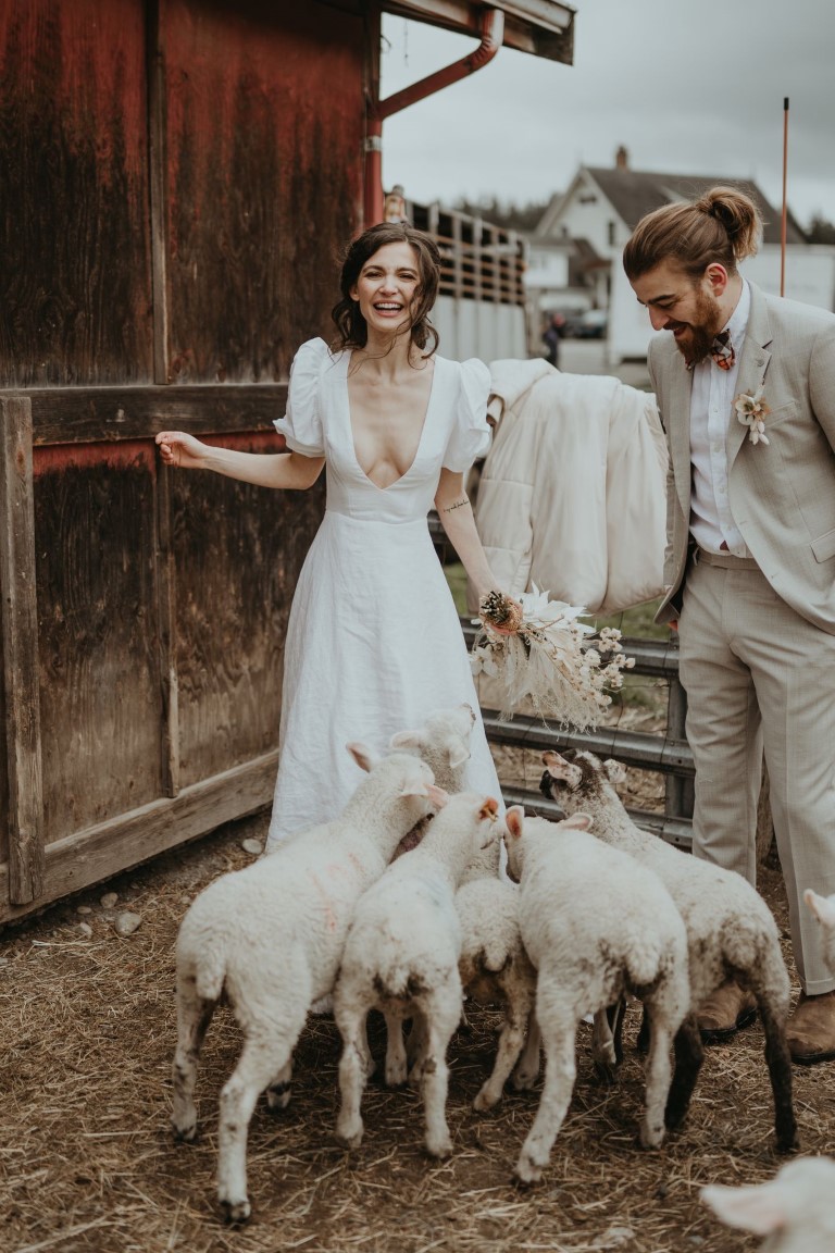 Us + Ewe Farm Wedding Inspiration lambs