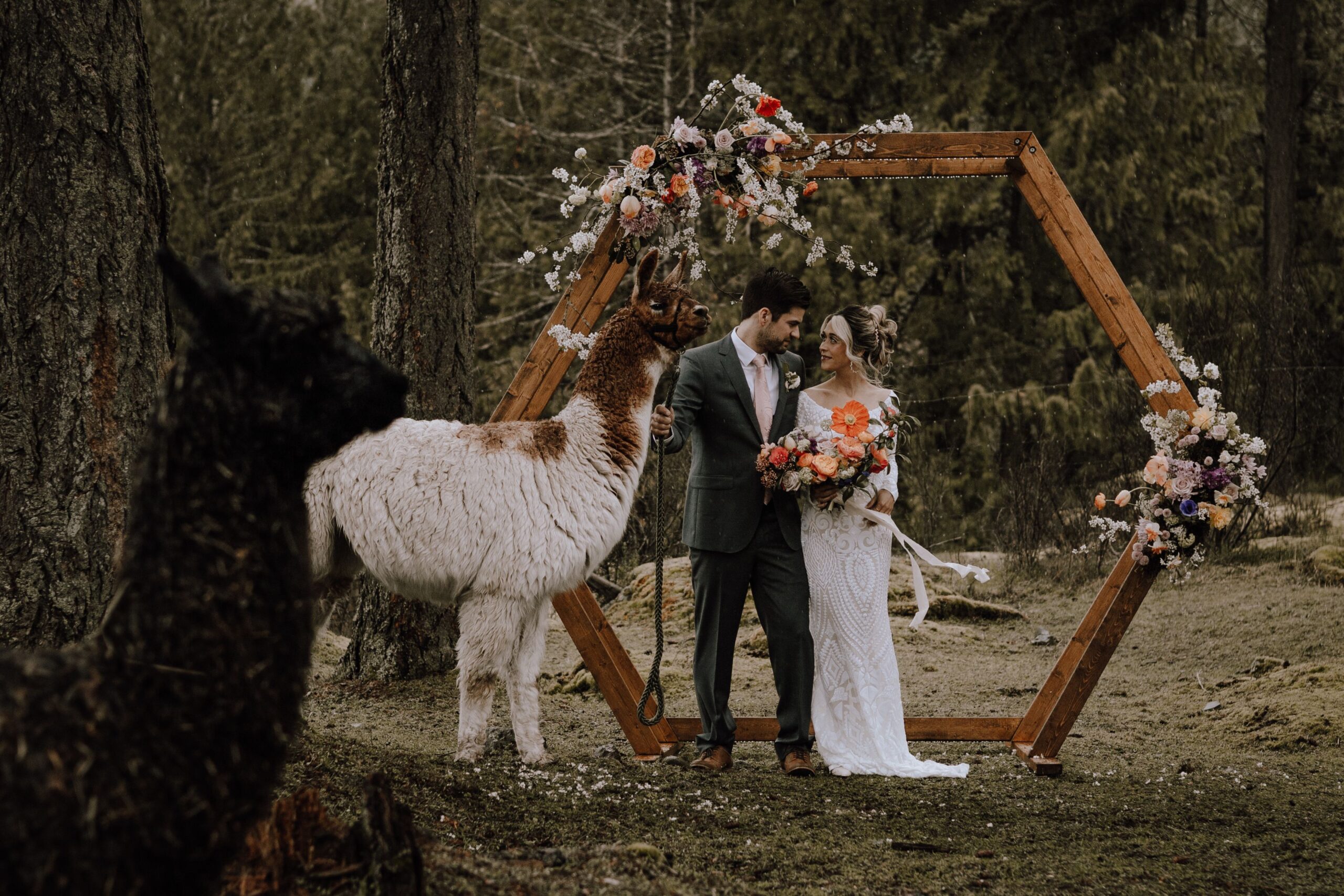 Vows in the Valley with Llamas