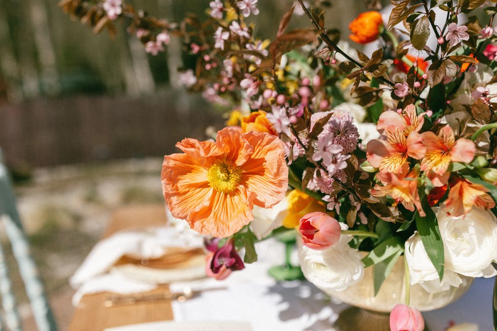 colourful and vibrant orange, coral and white floral centerpiece