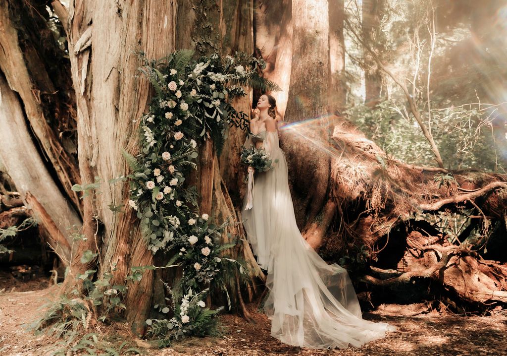 bride at the base of a huge tree