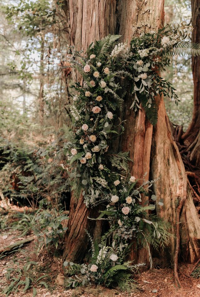 large floral climbs up tree