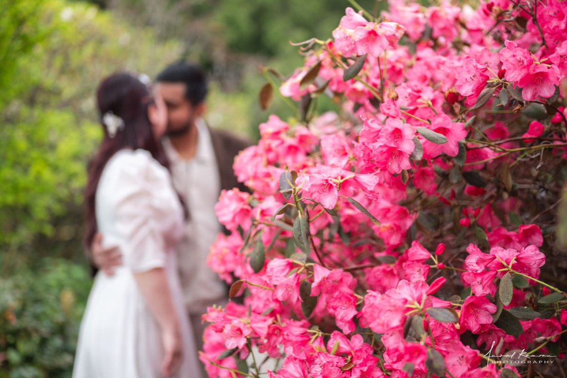 Bride and Groom in front of Pink Azalea Vancouver