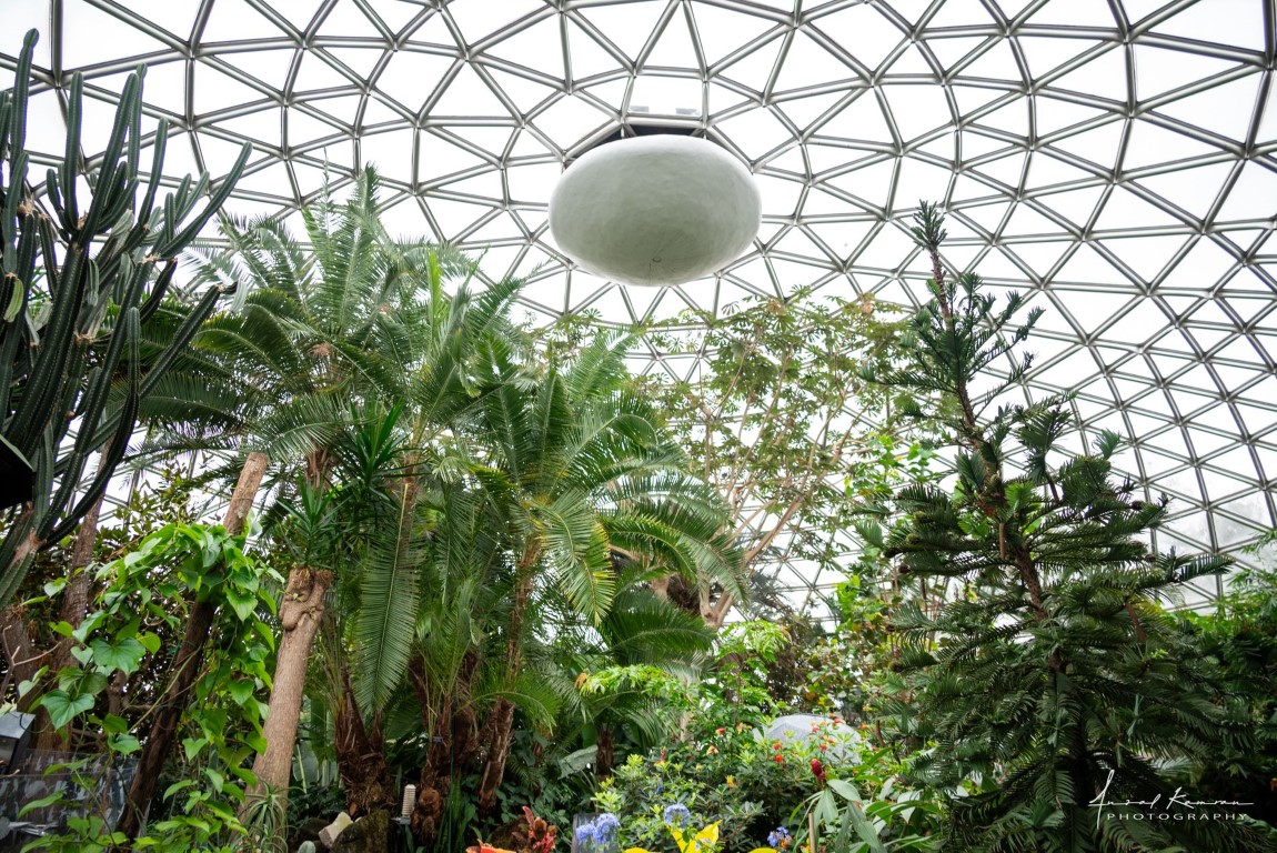 Bloedel Conservatory ceiling dome in Vancouver