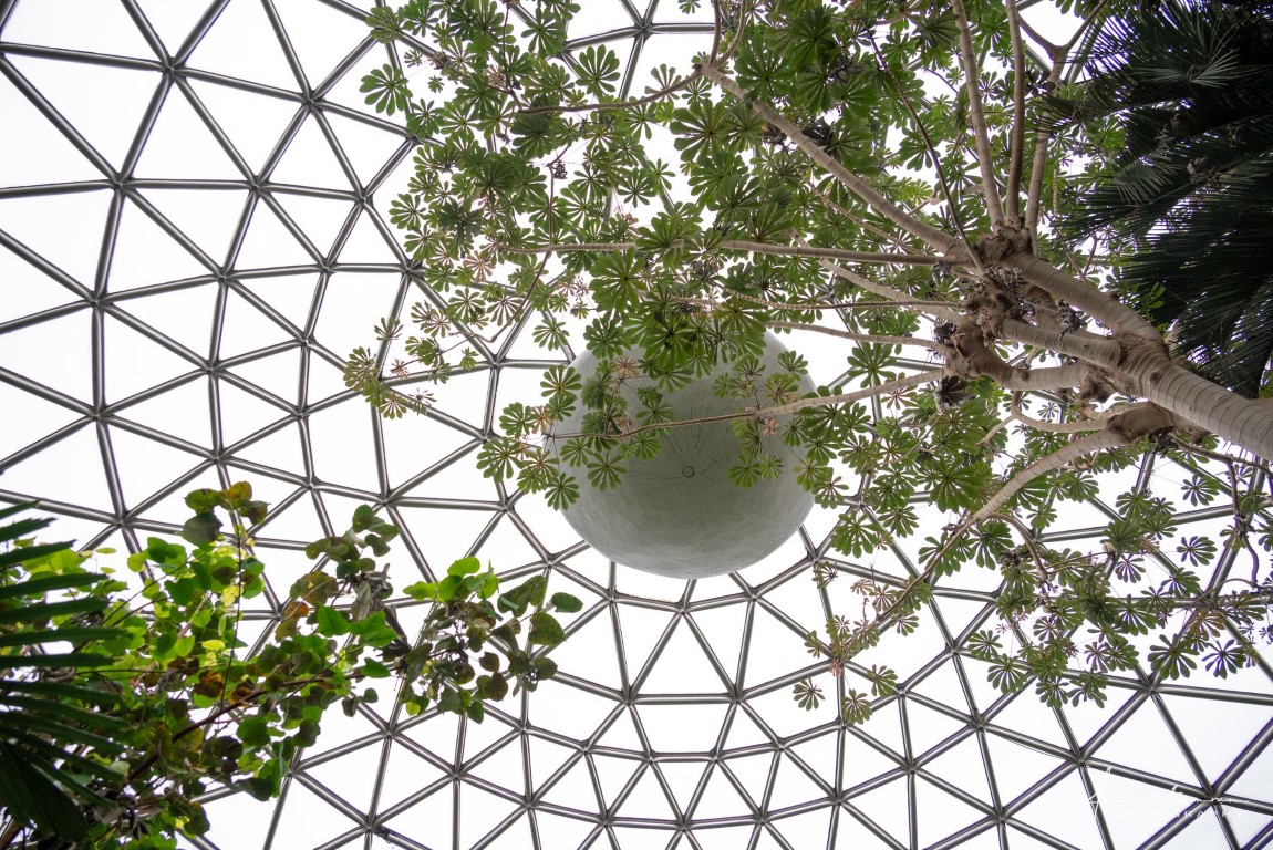 View through dome at Bloedel Conservatory