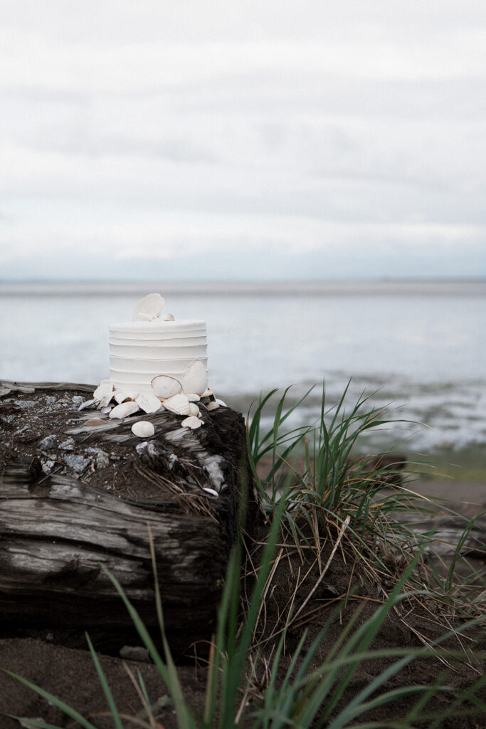 delicate white shell wedding cake sitting on vancouver beach