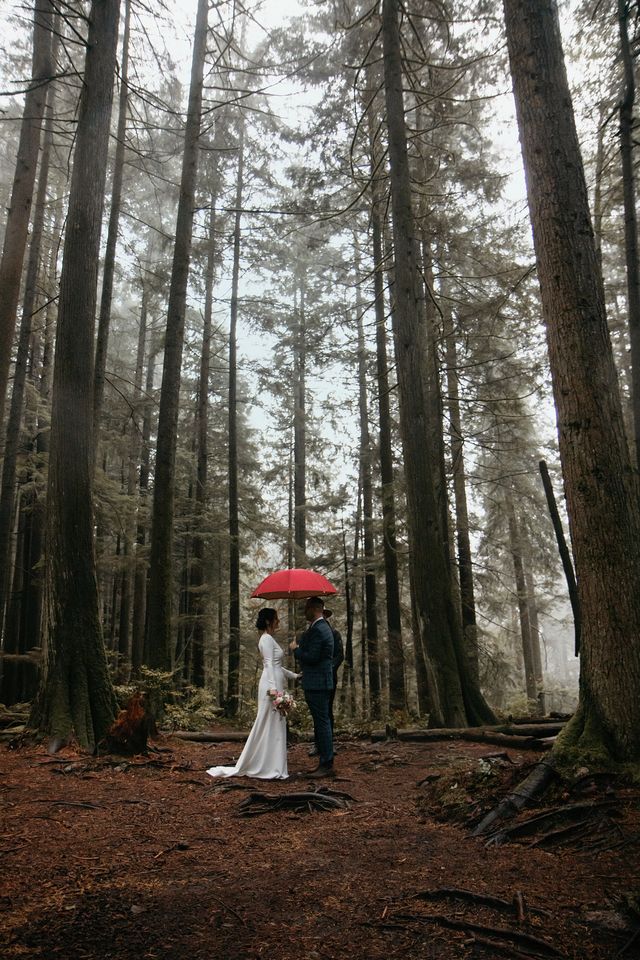 Newlyweds and red umbrella in BC rainforest