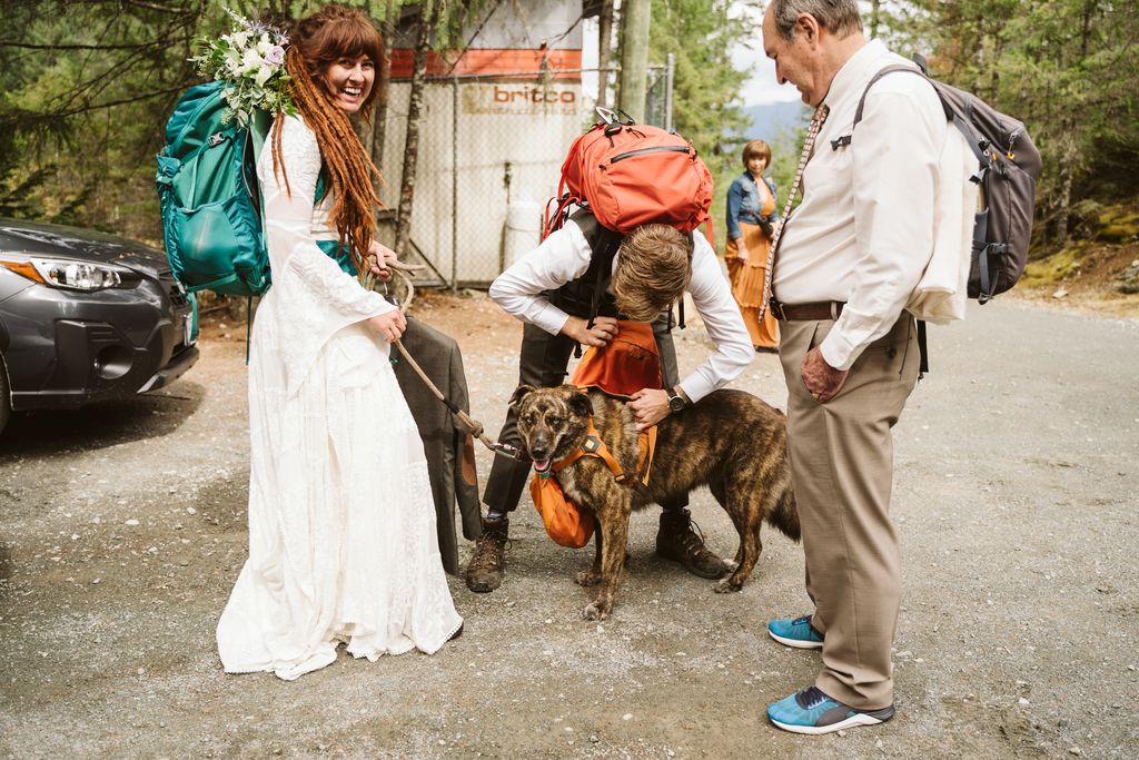 Wedding ceremony with ringbearer dog