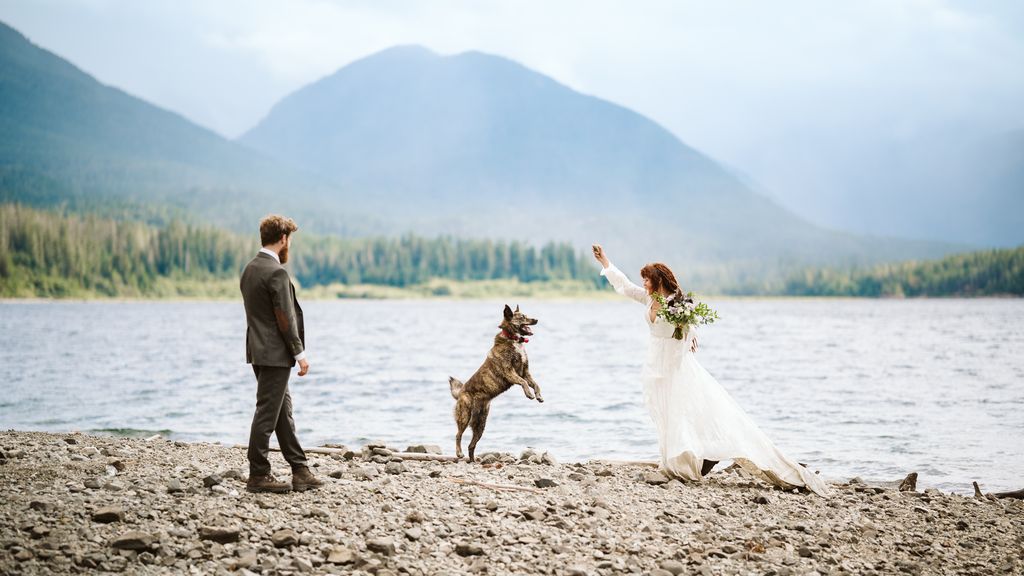 Eloping couple with dog on Vancouver island