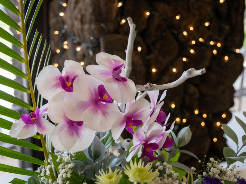 MJ1-2025-Florals MJ1-2025-Florals