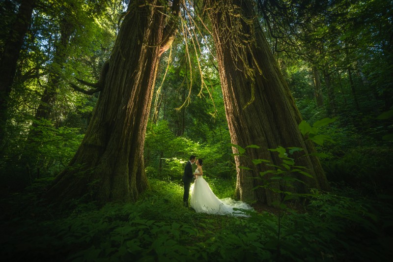 DSC_3321-Edit DSC_3321-Edit