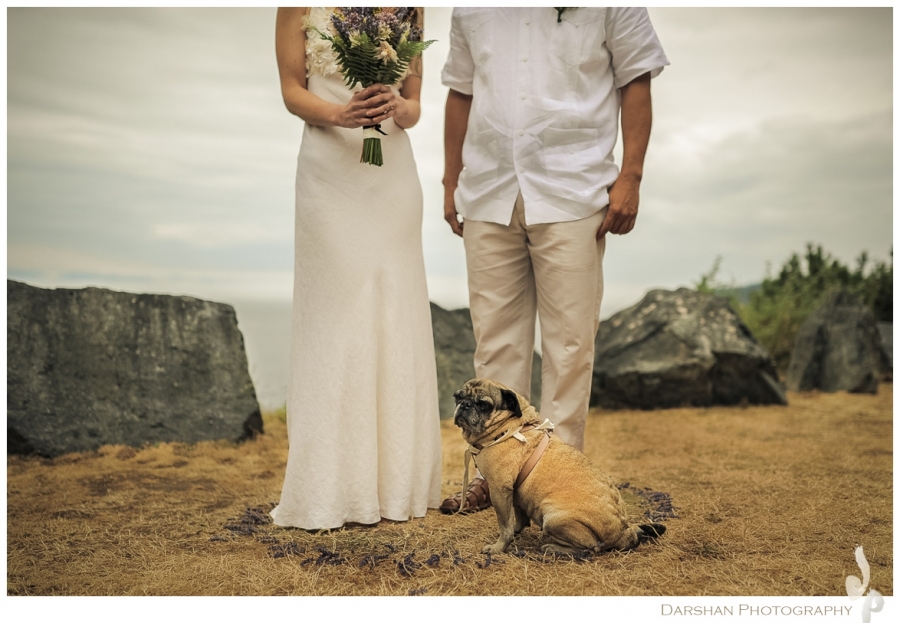 newlyweds with pug dog at their feet