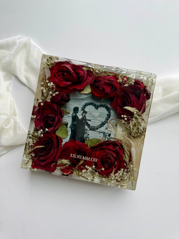 IMG_6285-2 IMG_6285-2