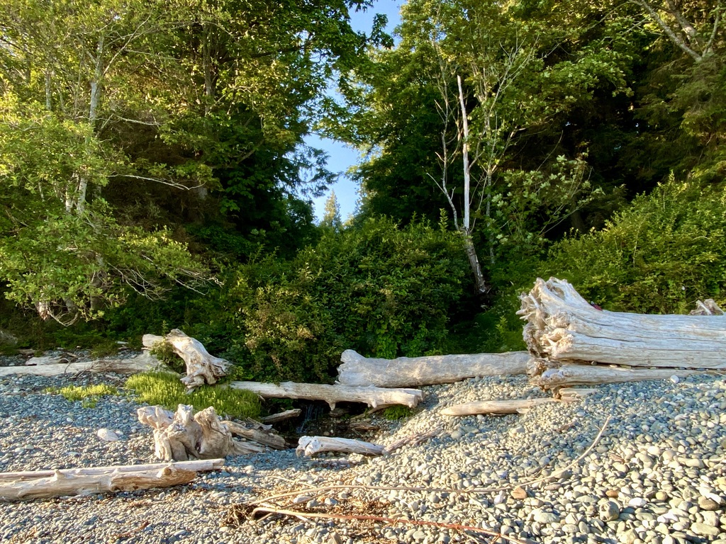 ocean wilderness inn, vancouver island, wedding venue, victoria, sunshine coast, west coast weddings