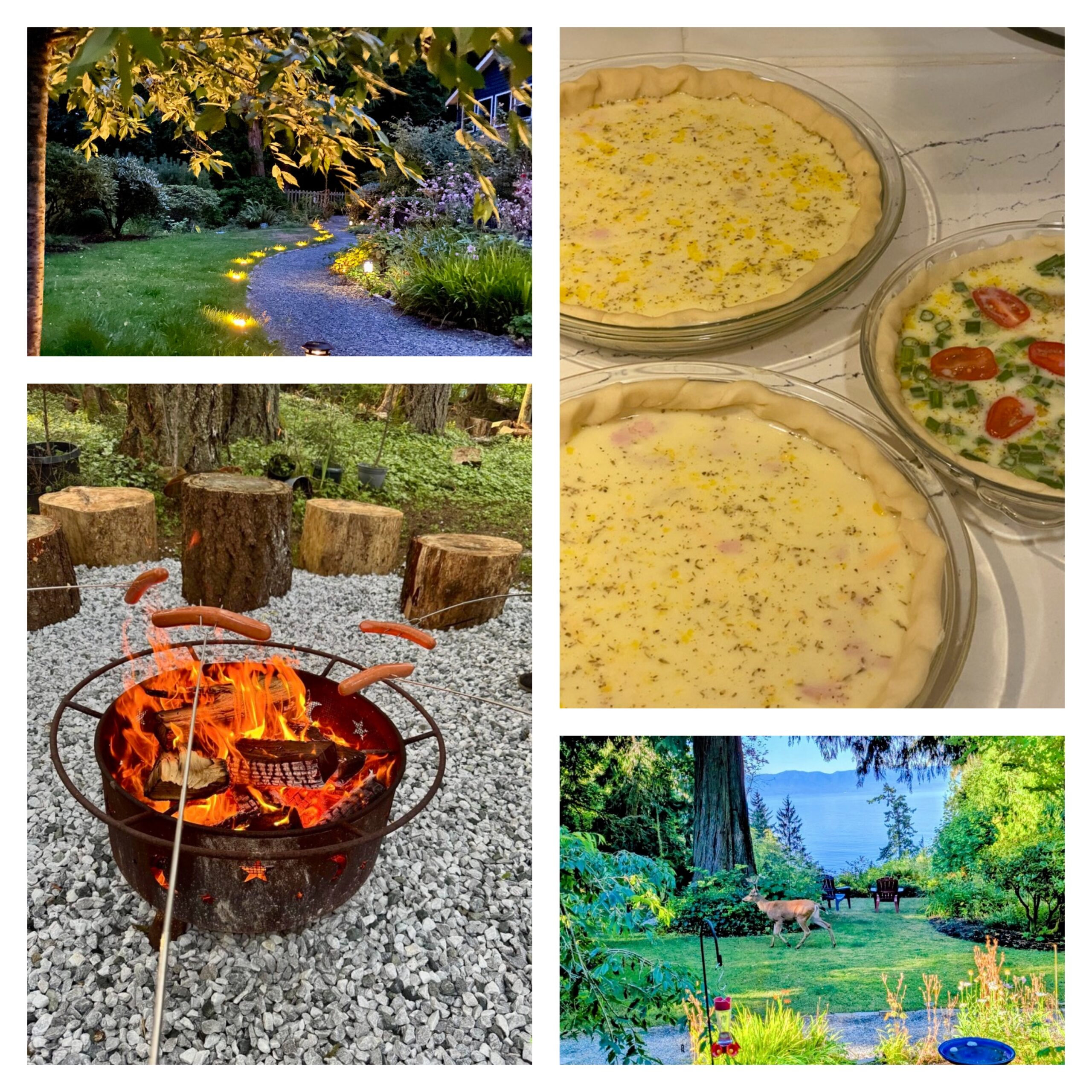 ocean wilderness inn, vancouver island, wedding venue, victoria, sunshine coast, west coast weddings