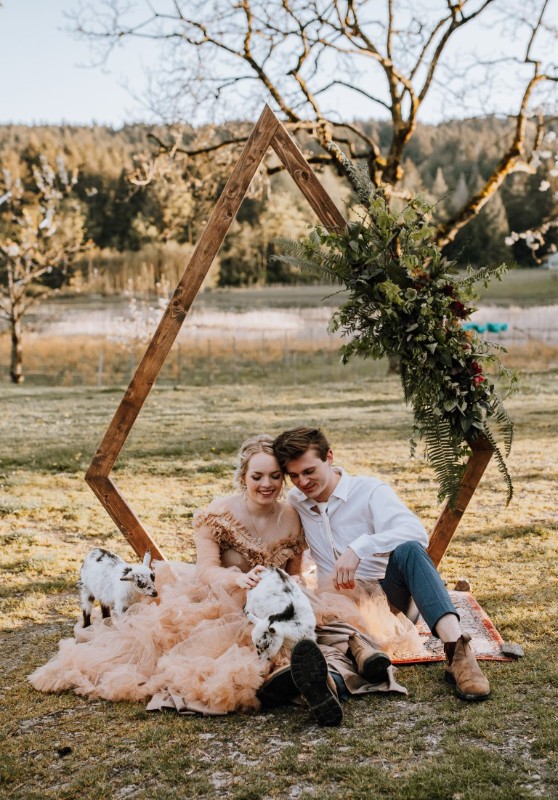 14342_Farm-Elegance-Elyse-Anna-Photography-goats-Medium