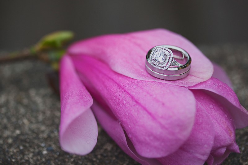 2559_ann-louise-rings