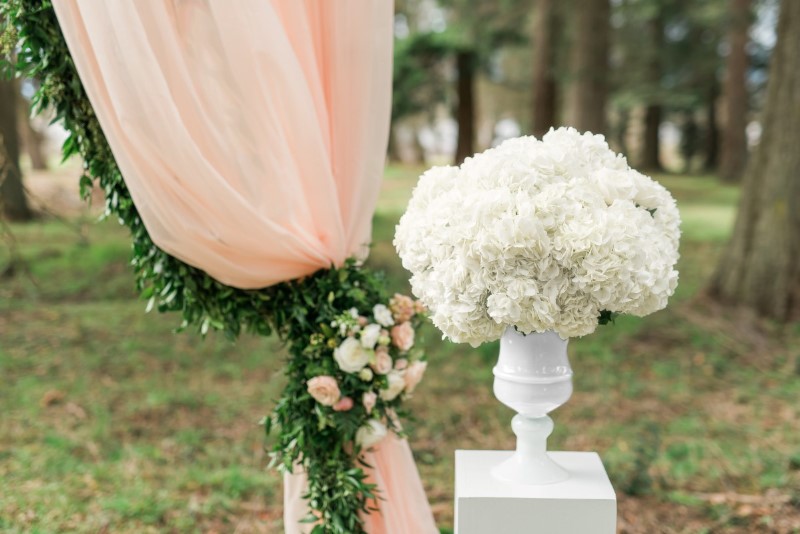 View More: http://masikamayphotography.pass.us/party-mood