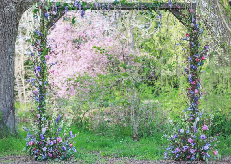 2565_Wild-Arch-Custom